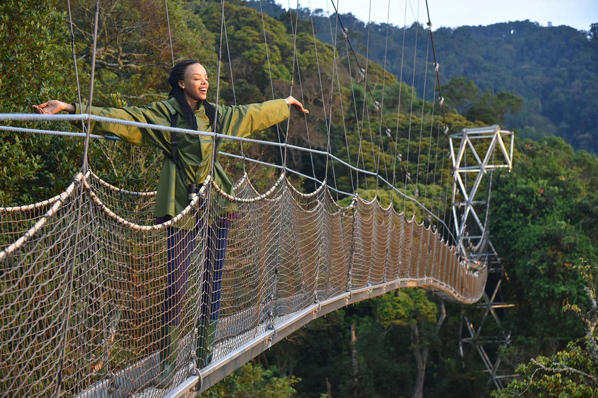 Nyungwe Forest